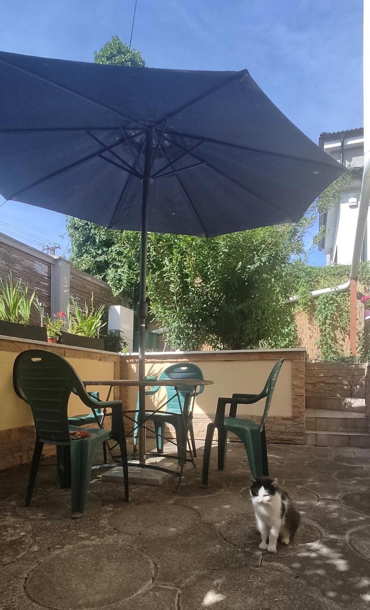 Privat 2 Na Sihoti Apartment Trencin Luaran gambar