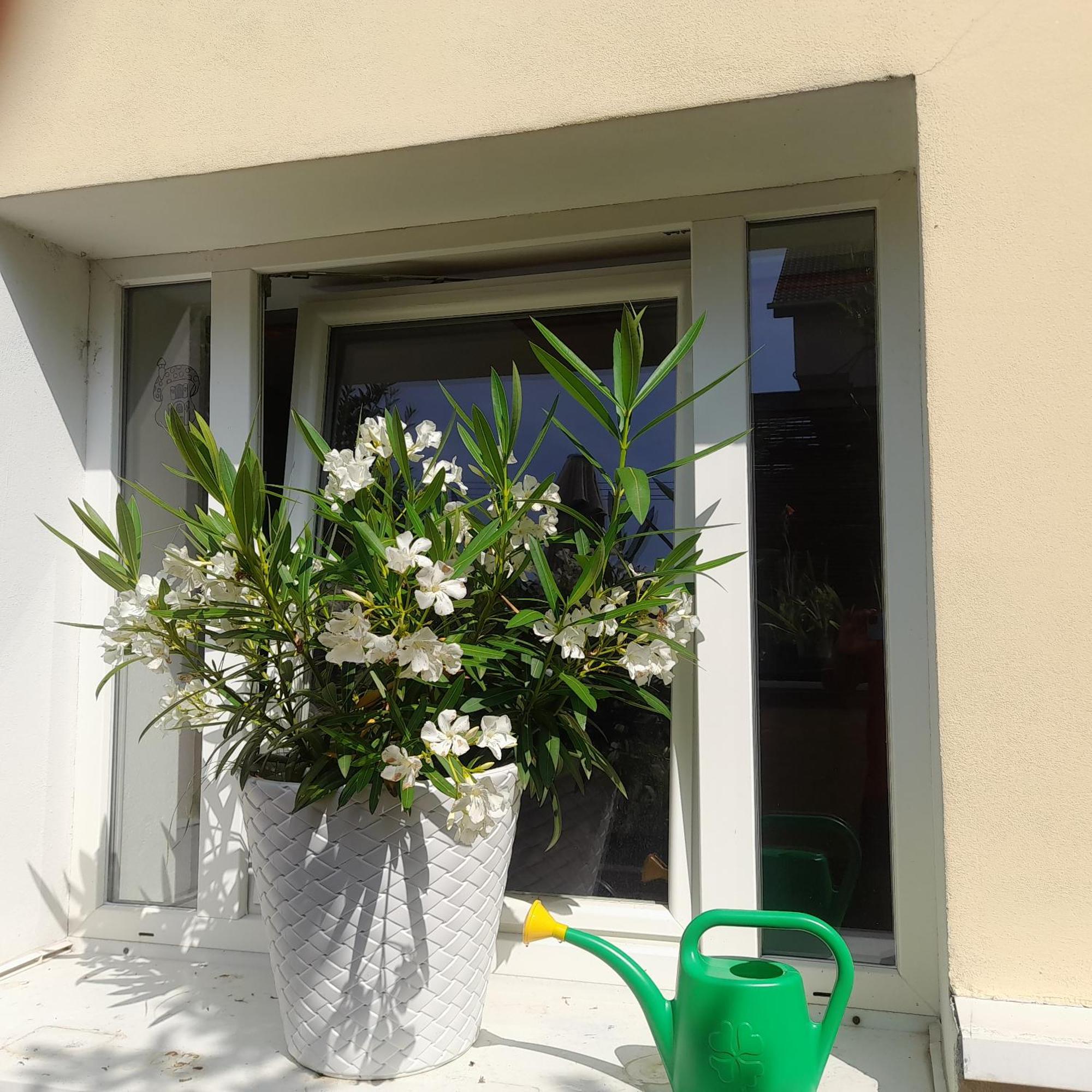 Privat 2 Na Sihoti Apartment Trencin Luaran gambar